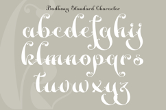 Badhong Classic Script Product Image 6