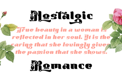 Bichaeru - Korean Font Style Product Image 6