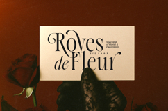 Native Designer - Delicate Serif Product Image 6