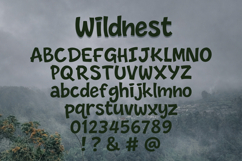 Wildnest Natural Handwritten Font Product Image 7