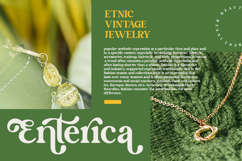 Lane Fiegras - Retro Serif Font Product Image 6