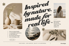 Milavera Bold Script Font Product Image 4