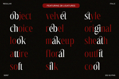 Petrichor - Stylish Serif Font Product Image 5