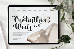 Agustina - Wedding Font Product Image 6