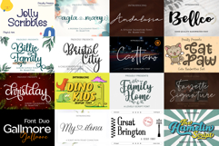 The Ultimate Premium Font Bundle 220 Fonts for Small Busines Product Image 7