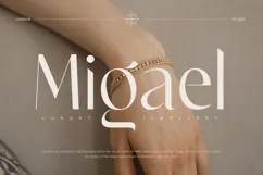 Chicago - Classy Luxury Logo Font Product Image 6
