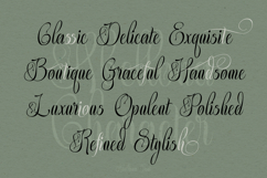 Abellona Script Product Image 6