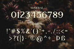 RS Djarum - New Classic Serif Font Product Image 6