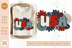 Retro USA daisies PNG for sublimation - Retro 4th of July Product Image 1