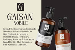 Gaisan - Sharp Modern Serif Font for Prestigious Branding Product Image 7