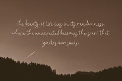 Blind Ambition Handwritten Script Product Image 7