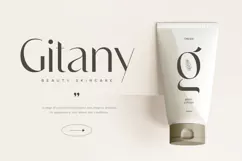 Chicago - Classy Luxury Logo Font Product Image 7