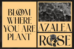 Flangel - Luxury Serif Font Product Image 7