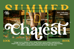 Lane Fiegras - Retro Serif Font Product Image 7