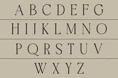 Bachelors Display Product Image 7