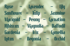 Nureta - Classic Elegant Display Font Product Image 6