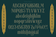 Dasimyra Antique typeface Product Image 7