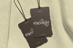Avoleina - Luxury Serif Font Product Image 7