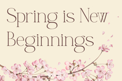 Gardening - Elegant Serif Font Product Image 7