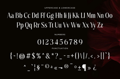 Petrichor - Stylish Serif Font Product Image 6