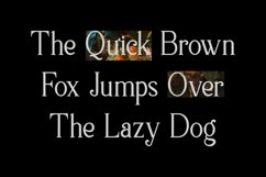 Vormation Product Image 7