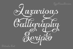 Betonila Decorative Font Product Image 7