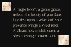 Rameena - Modern Elegant Serif Product Image 7