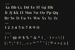 Minnerva - Modern Elegant Serif Product Image 6