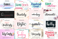 The Ultimate Premium Font Bundle 220 Fonts for Small Busines Product Image 8