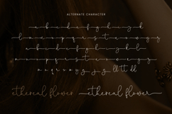 Holly - Christmas Font Product Image 7