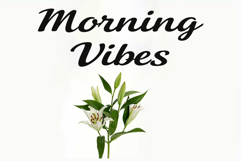 Regina Product Image 7