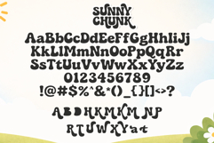 Sunny Chunk Product Image 7