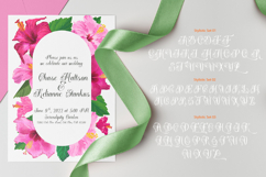 Hentagie Classic Script Product Image 8