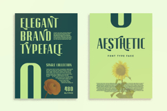 Nureta - Classic Elegant Display Font Product Image 7