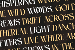 Flangel - Luxury Serif Font Product Image 8