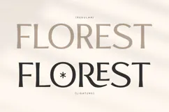 Flavour - Modern Luxury Sans Serif Product Image 8