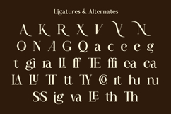 Qogua - Stylish Elegant Serif Font Product Image 8