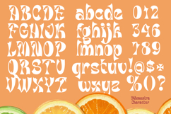 Dihmantra Bold Display Typeface Product Image 8