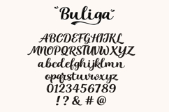 Buliga Elegant Script Font Product Image 8