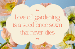 Gardening - Elegant Serif Font Product Image 8