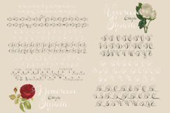 Etiopia Script Product Image 8