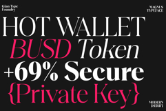 Magnus Serif Product Image 8