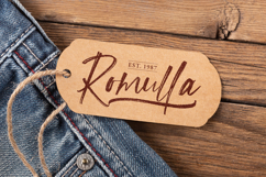 Streaklines - Dry Brush Script Font Product Image 8