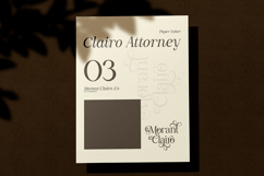 Avoleina - Luxury Serif Font Product Image 8