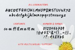 Wide House- Handwitten Font Product Image 8