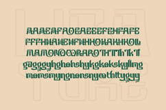 Hamsachin - Modern Korean Font Product Image 8