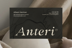 West Postage - Rough Sketch Serif Product Image 8