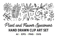 Plant &amp; Flower Specimen Doodle Clip Art Set Product Image 3