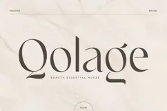 Chicago - Classy Luxury Logo Font Product Image 8