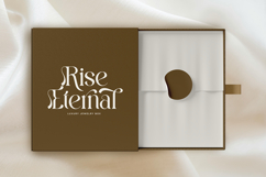 Harmony Dream - Modern Decorative Font Product Image 8